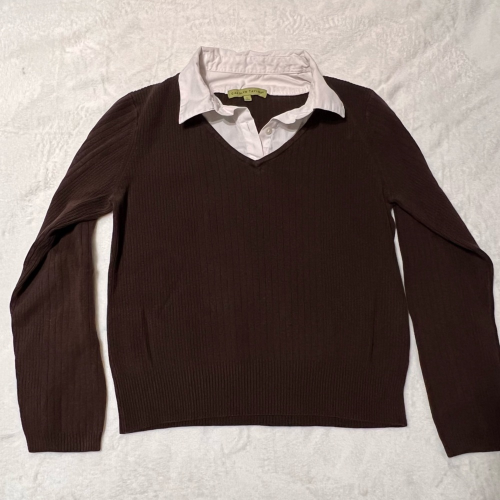 Carolyn Taylor sweater/ long sleeve, size L but tighter fit
